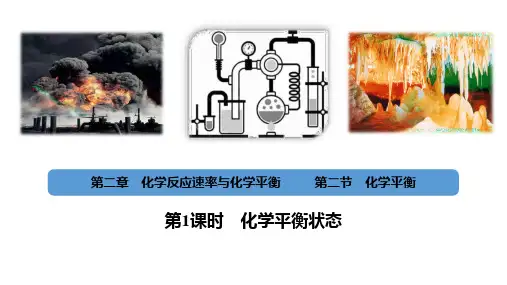 化学平衡ppt课件