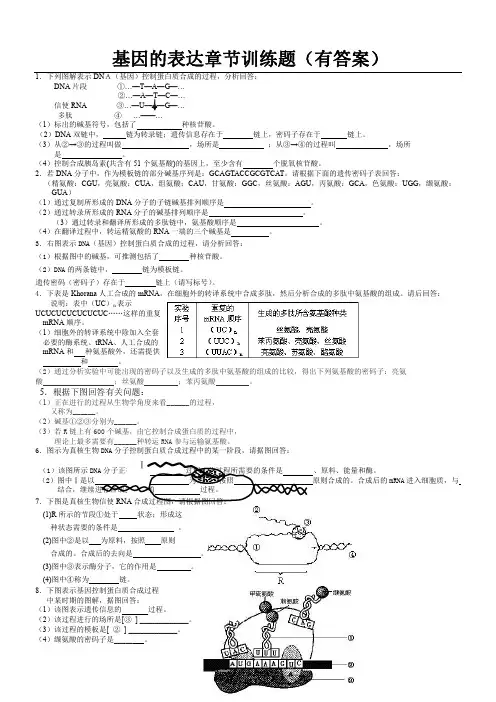 基因的表达章节训练题(有答案)