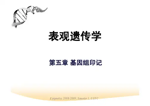表观遗传学 基因组印记 