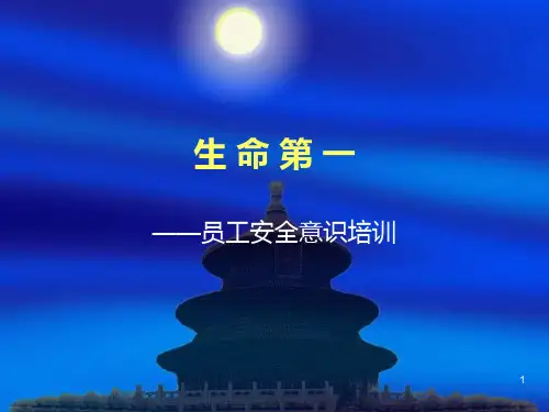 员工安全意识培训手册(一)PPT课件