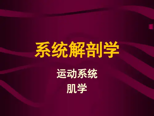 5.-系统解剖学-运动系统-肌学
