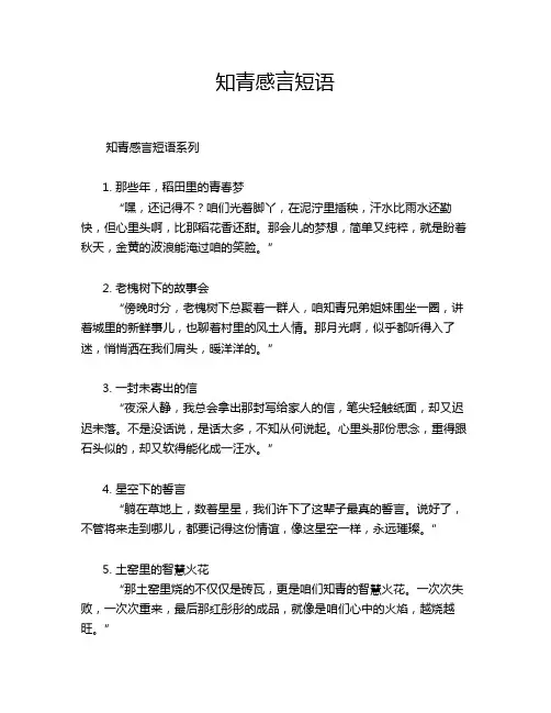 知青感言短语