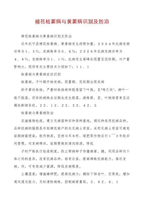 棉花枯萎病与黄萎病识别及防治