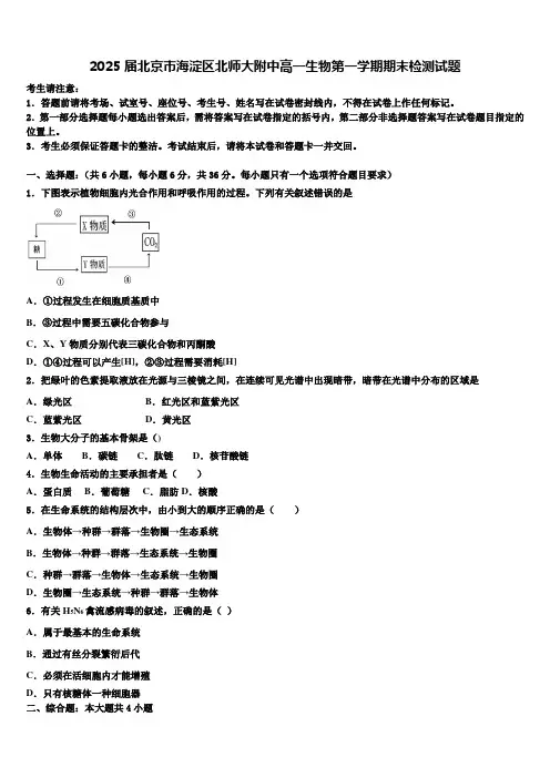 2025届北京市海淀区北师大附中高一生物第一学期期末检测试题含解析