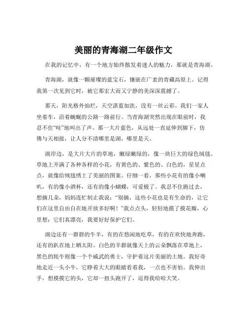 美丽的青海湖二年级作文