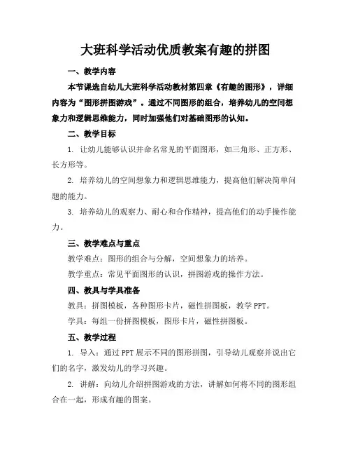 大班科学活动优质教案有趣的拼图