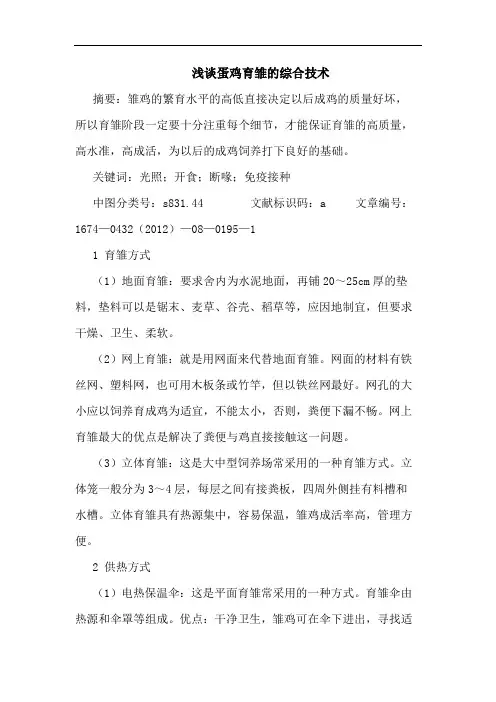 蛋鸡育雏的综合技术