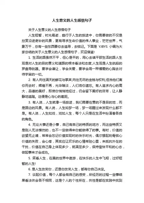 关于人生意义的人生感悟句子