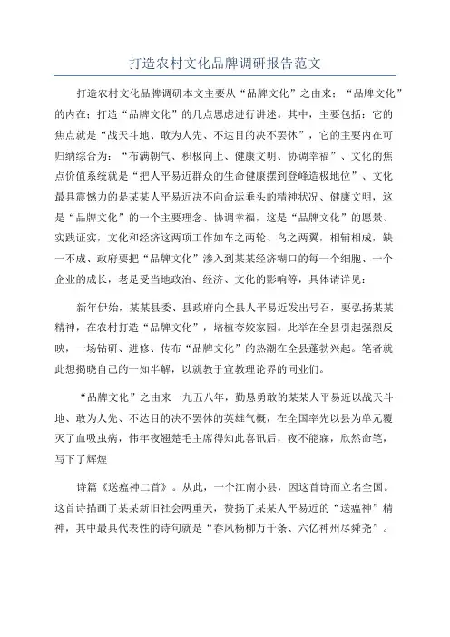 打造农村文化品牌调研报告范文