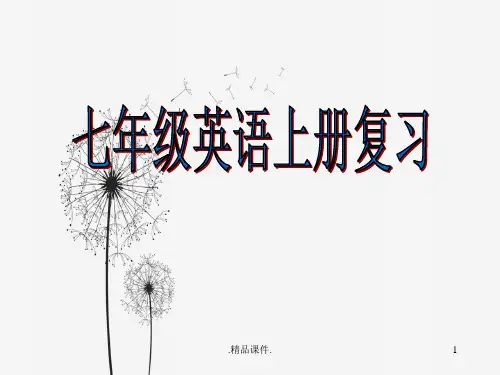 人教版新目标英语七年级(上)全册总复习课件培训资料