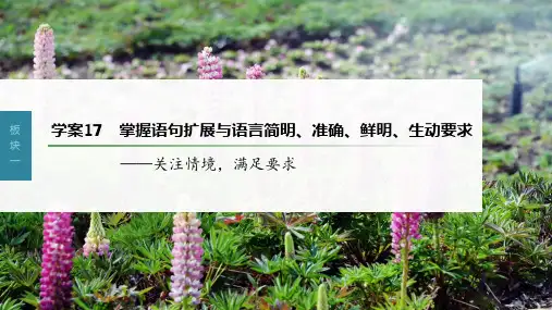 2023年语文老高考一轮复习——掌握语句扩展与语言简明、准确、鲜明、生动要求—关注情境,满足要求