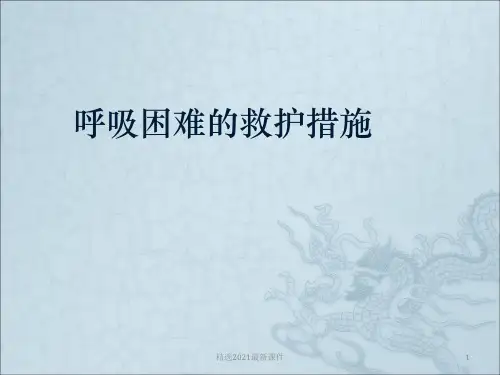 呼吸困难的救护措施PPT课件