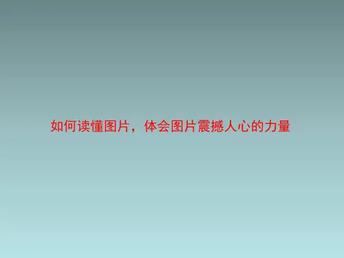 苏教版高中语文必修2技法指导：如何读懂图片,体会图片震撼人心的力量
