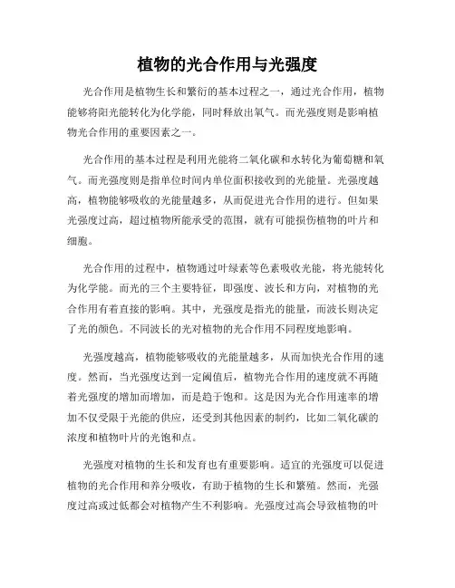 植物的光合作用与光强度