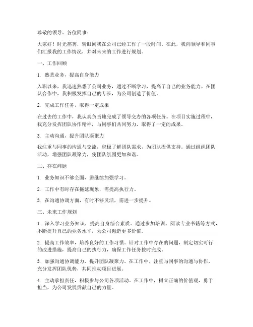 述职报告未来工作规划