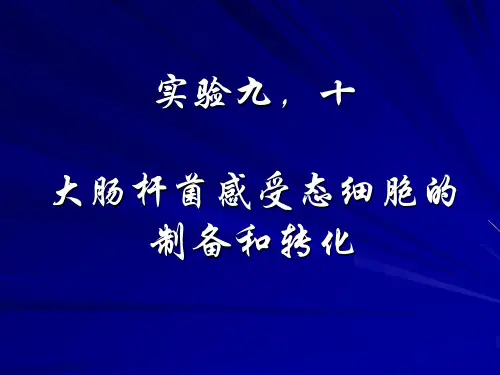 大肠杆菌感受态细胞制备和转化