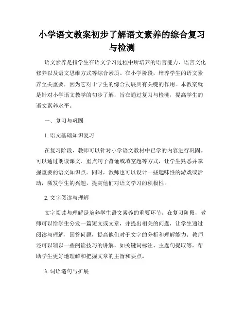 小学语文教案初步了解语文素养的综合复习与检测