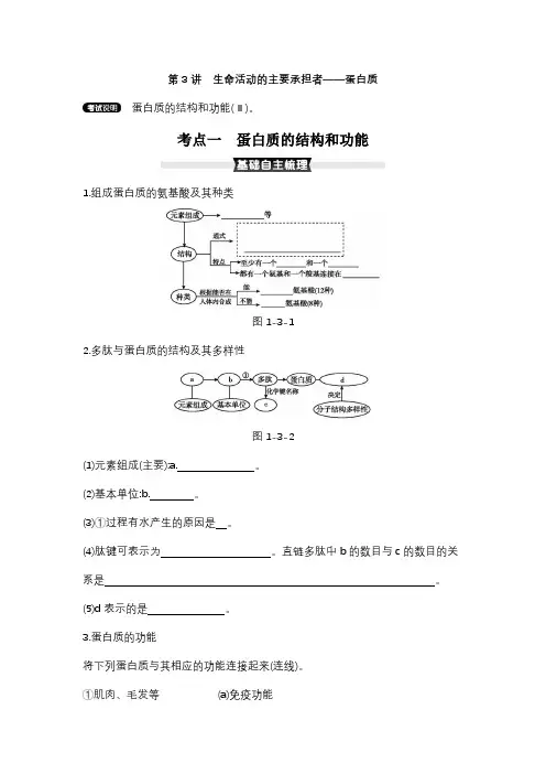2022届 新高考 一轮复习 人教版 蛋白质的结构和功能  教案
