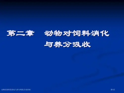 动物对饲料的消化与养分吸收专家讲座