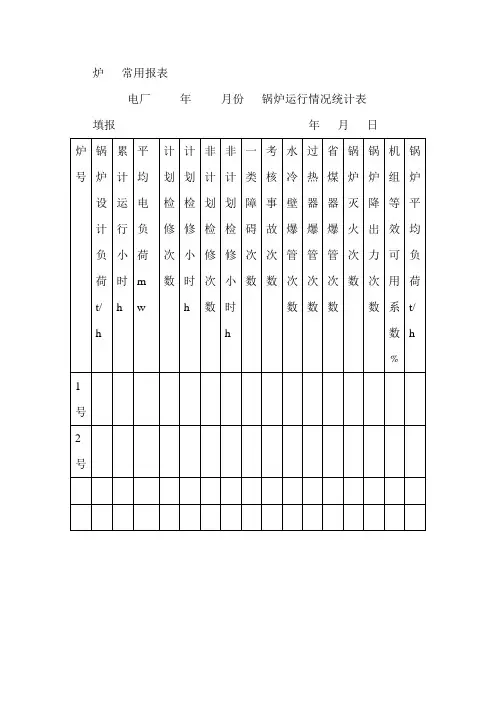 发电厂九项技术监督(锅炉监督报表)