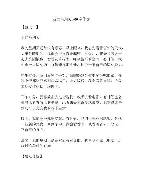 我的星期天500字作文