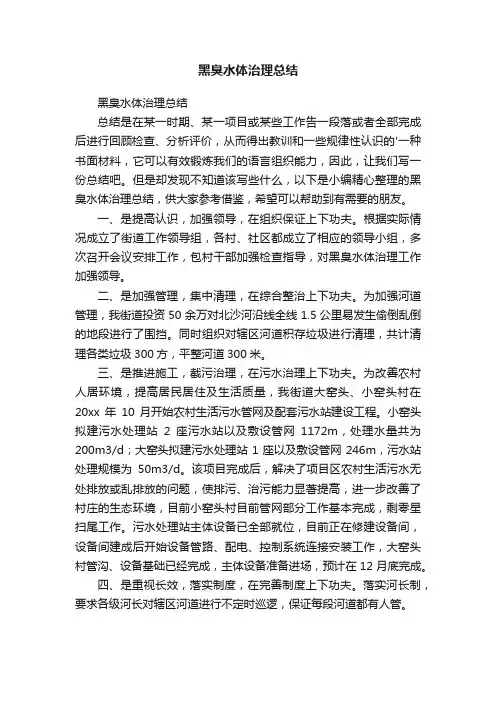 黑臭水体治理总结
