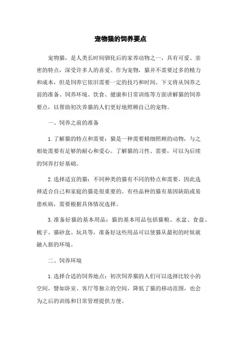 宠物猫的饲养要点