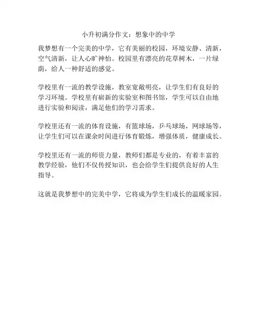 小升初满分作文：想象中的中学