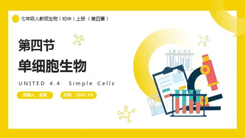 单细胞生物PPT课件