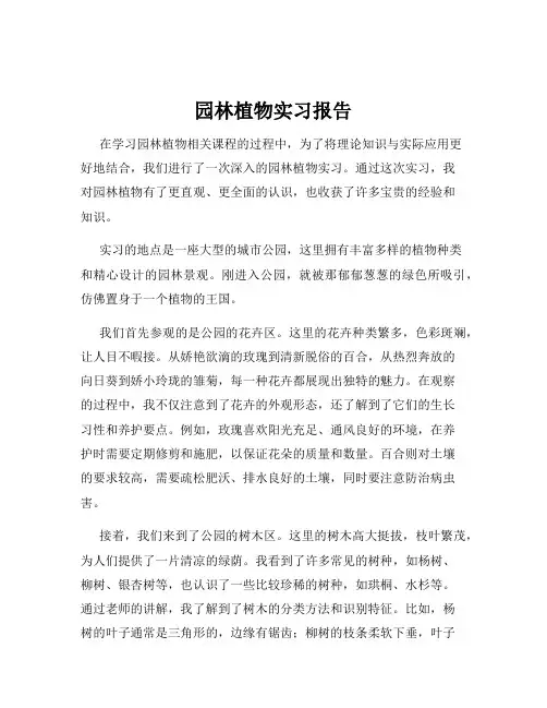 园林植物实习报告