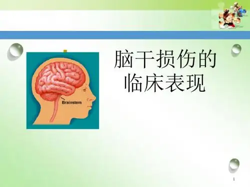 脑干损伤的临床表现ppt课件