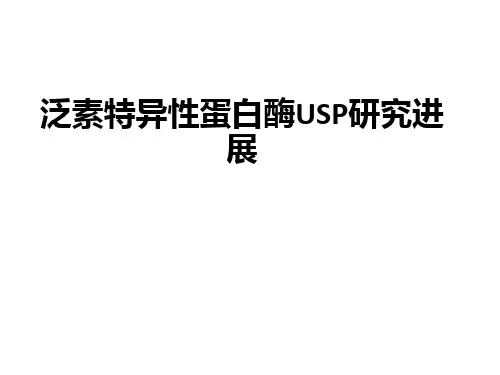 泛素特异性蛋白酶USP研究进展ppt课件