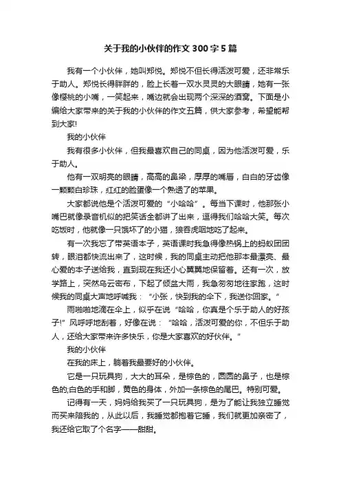 关于我的小伙伴的作文300字5篇