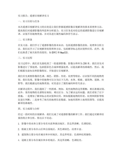 遥感目视解译实习报告