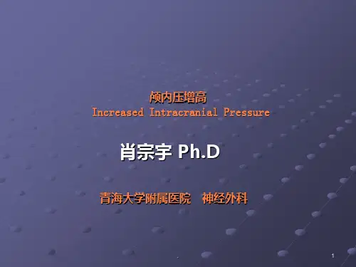 颅内压增高pptppt课件