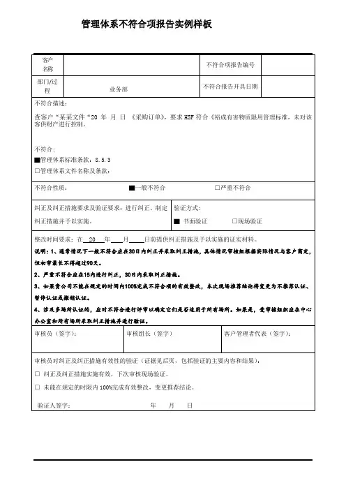管理体系不符合报告实例样板