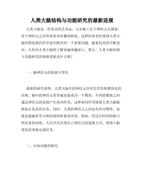 人类大脑结构与功能研究的最新进展