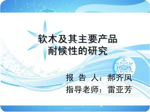 研究生论文开题报告PPT实例