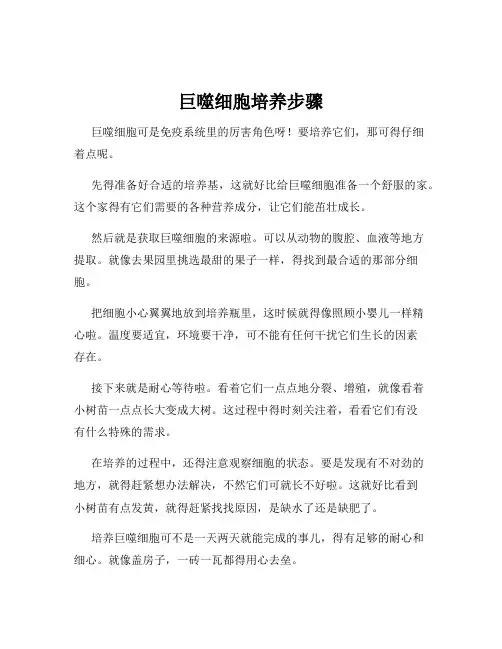 巨噬细胞培养步骤
