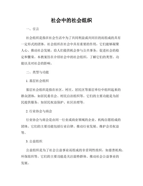 社会中的社会组织