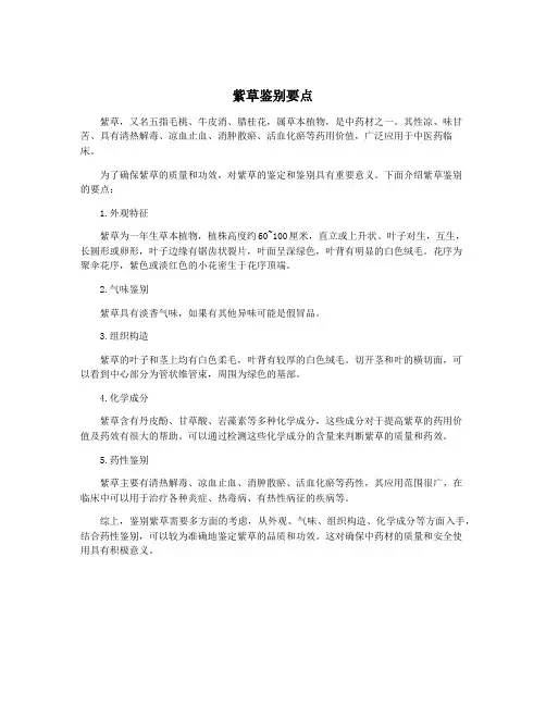 紫草鉴别要点