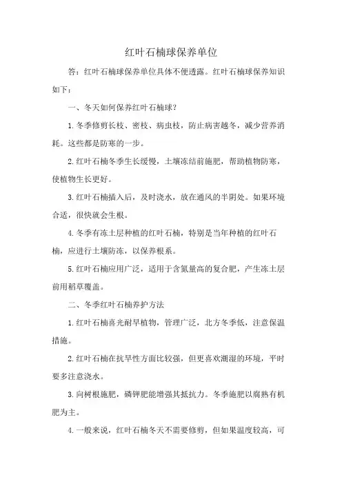 红叶石楠球保养单位
