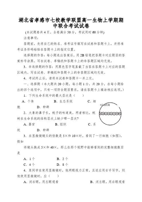 湖北省孝感市七校教学联盟高一生物上学期期中联合考试试卷