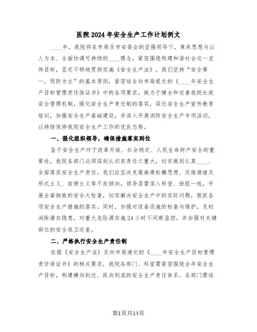 医院2024年安全生产工作计划例文（六篇）