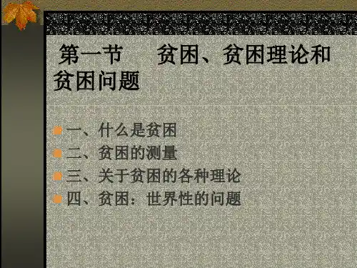 第8章反贫困政策