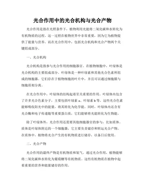 光合作用中的光合机构与光合产物