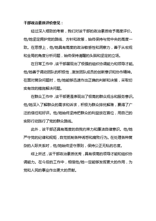 干部政治素质评价意见