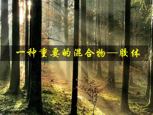 一种重要的混合物—胶体