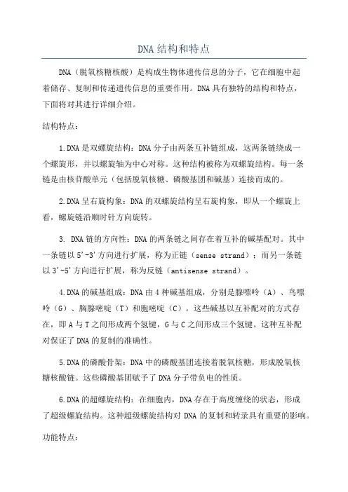 DNA结构和特点