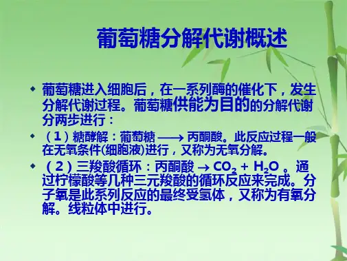 第~章糖代谢(共57张PPT)